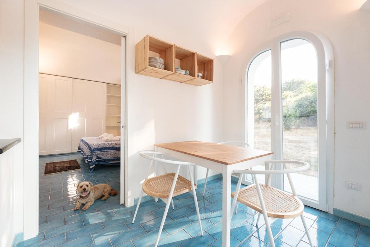 Aparthotel La Rosa Dei Venti à Procida Extérieur photo
